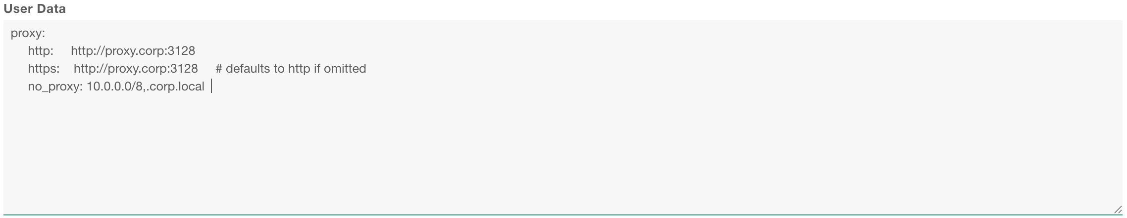 Adding proxy configuration to Exoscale User data